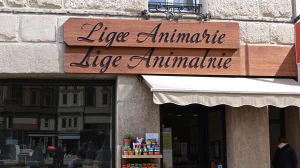 Top services et adresses d'animalerie à Liège pour 2026